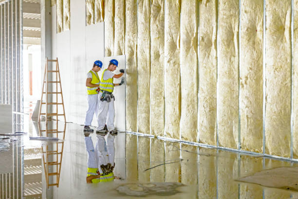 Best Types of Insulation in Lakeside, MT